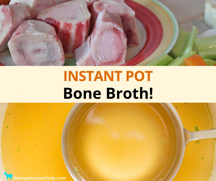 Instant Pot Bone Broth Recipe (Easy Step-by-Step Guide)