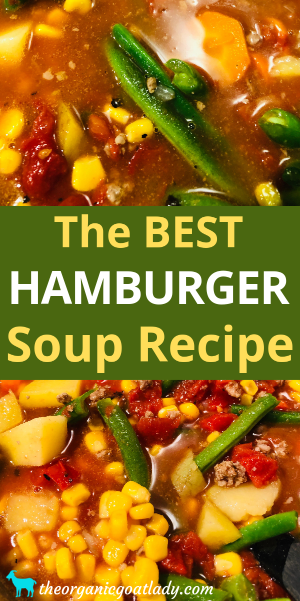 The Best Hamburger Soup Recipe! - The Organic Goat Lady