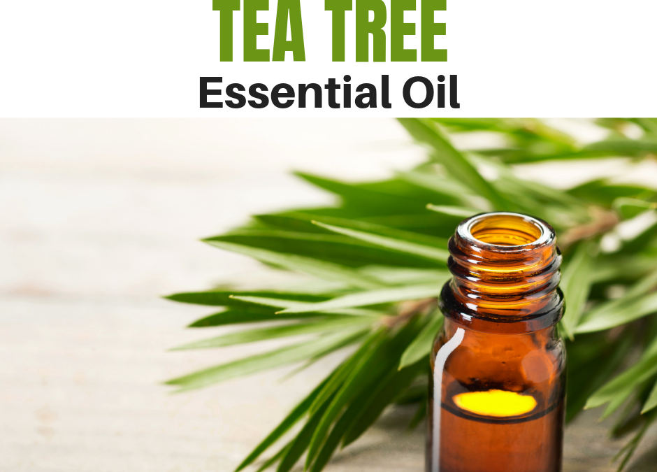 Why You Should Use Tea Tree Essential Oil