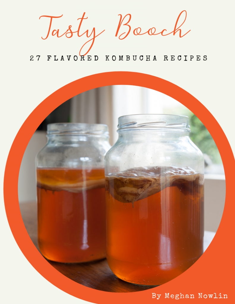 Easy Kombucha Recipe - Bless This Mess Please