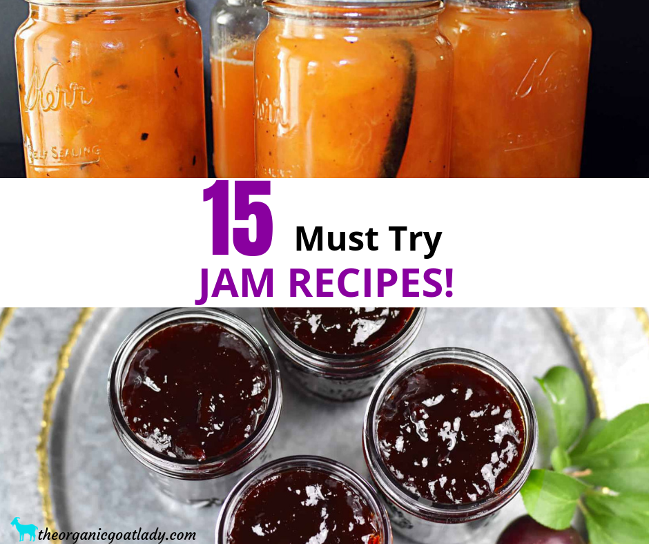 Jam Recipes