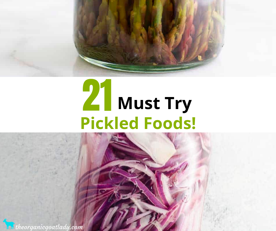 Pickled Foods