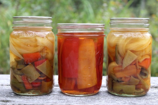 21 Pickled Foods Recipes - The Organic Goat Lady