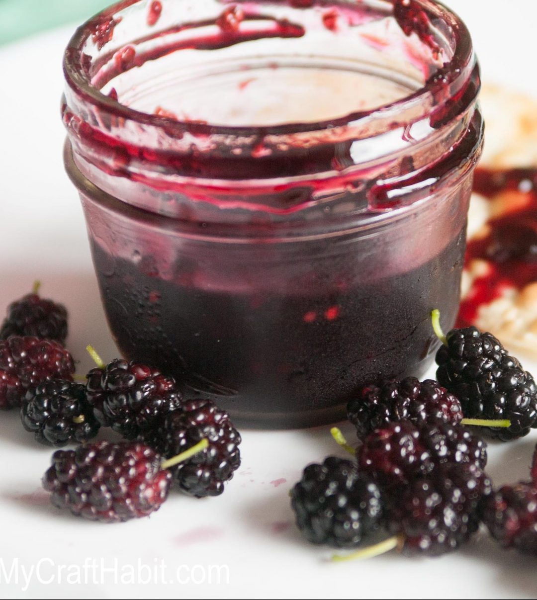 15 Must Try Jam Recipes! - The Organic Goat Lady