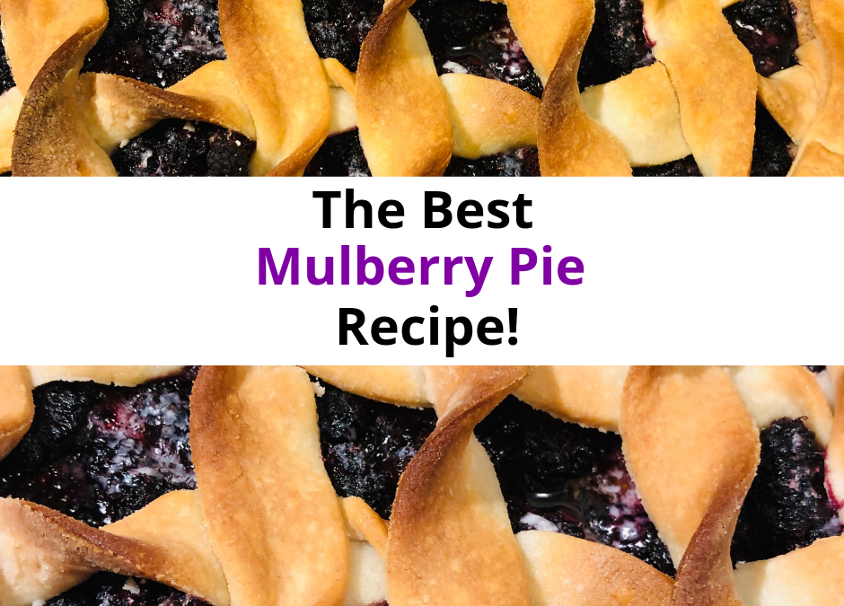 The Best Mulberry Pie Recipe!