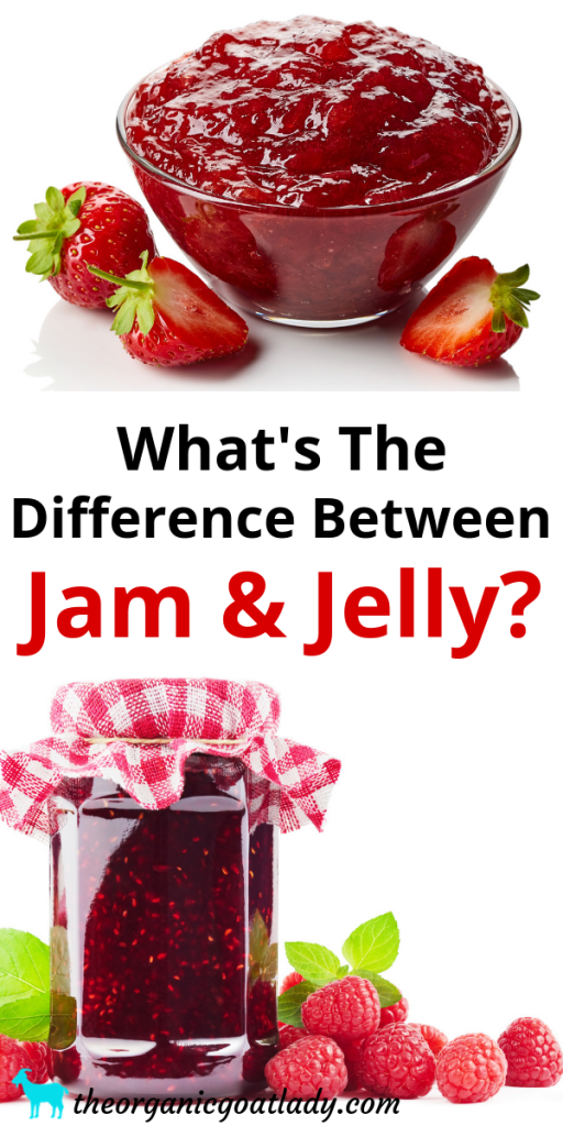 jellyfissh jam