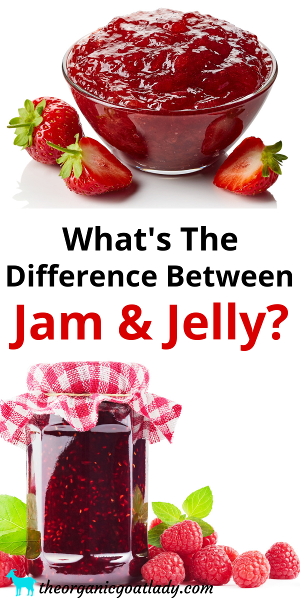 Jam And Jelly Ppt at Pedro Vetter blog