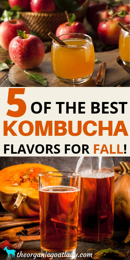Fall Kombucha Flavors
