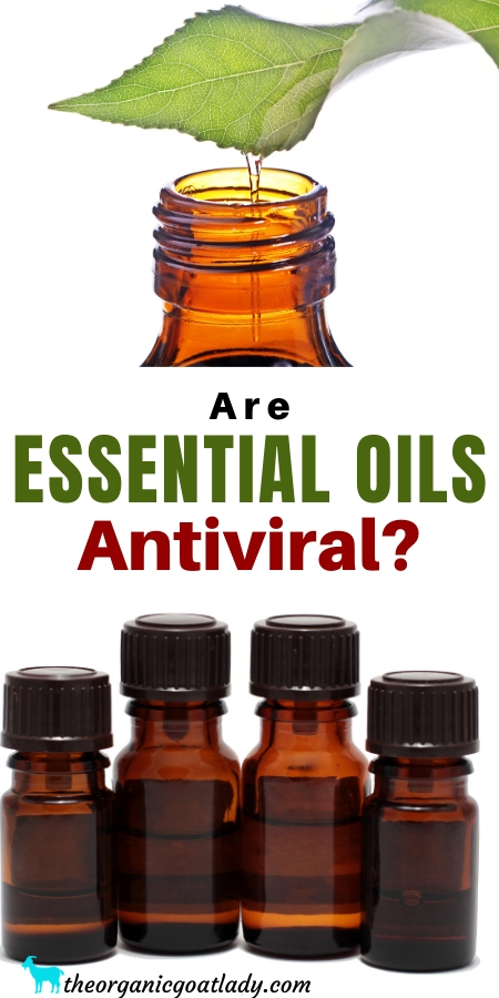Antiviral Essential Oils