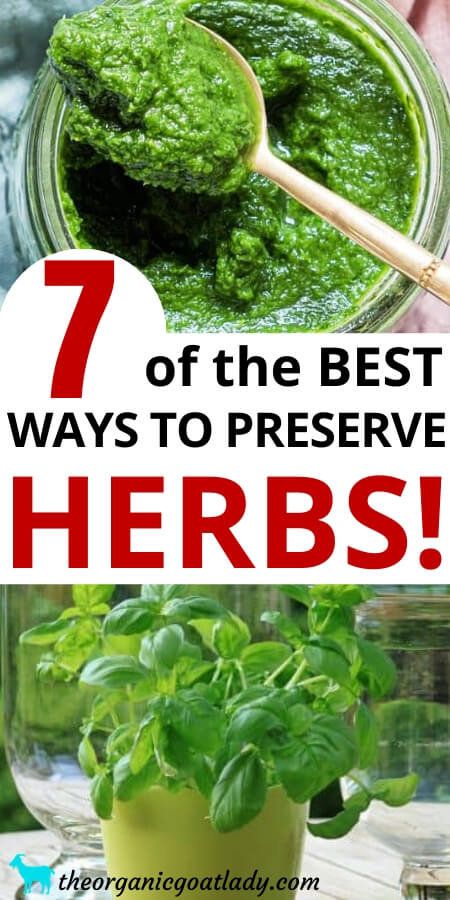 Ways to Preserve Herbs