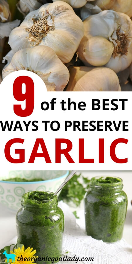 Ways to Preserve Garlic