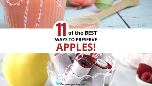 Ways to Preserve Apples