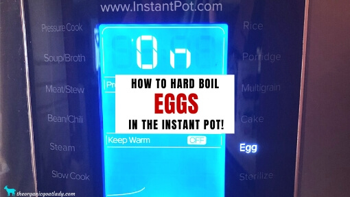 How to Make Hard Boiled Eggs in the Instant Pot