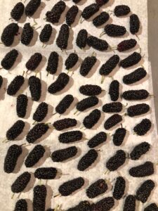 How to Freeze Mulberries