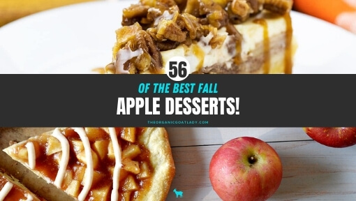 Apple Desserts for Fall!