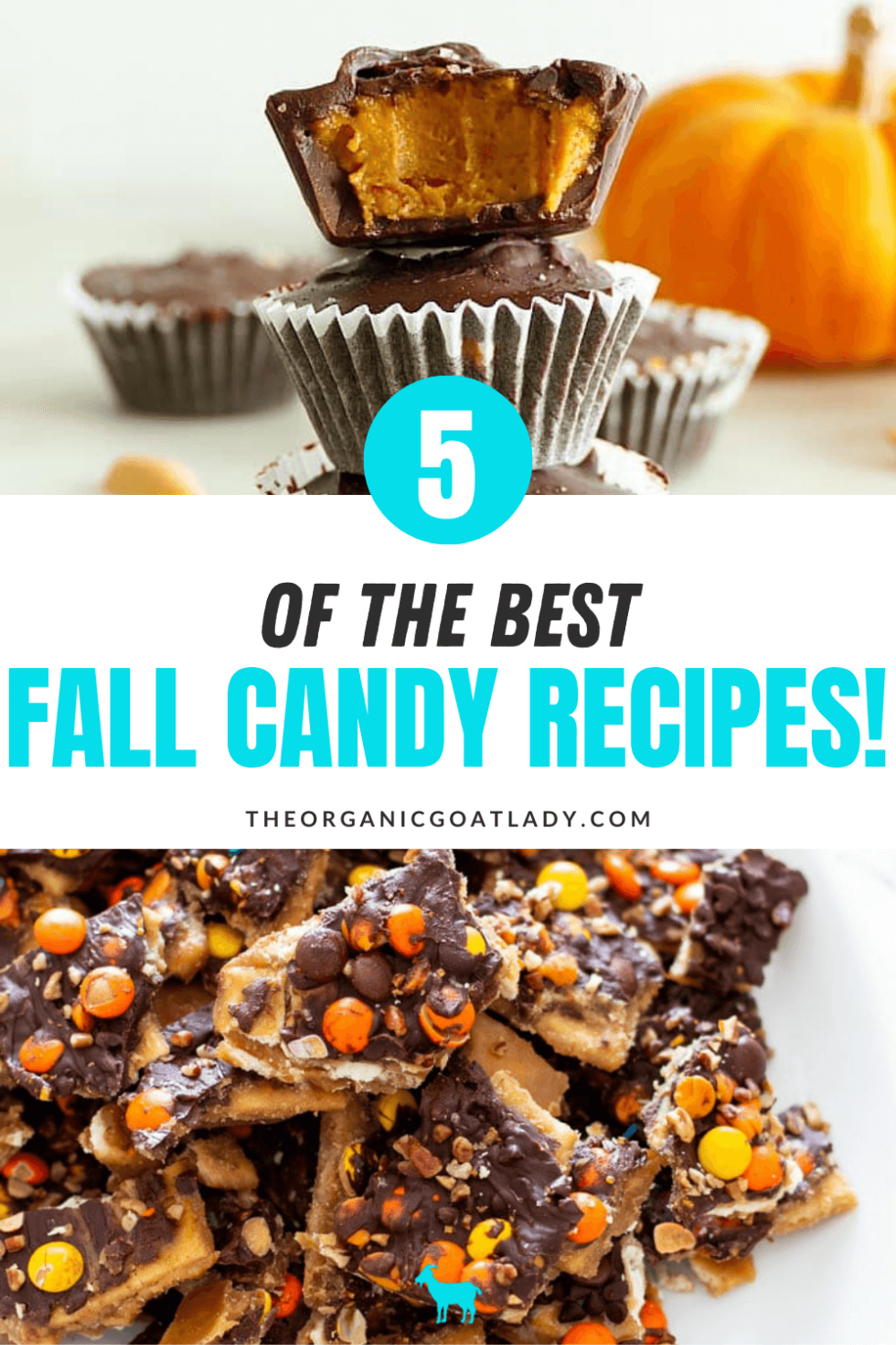 best-fall-candy-recipes-the-organic-goat-lady