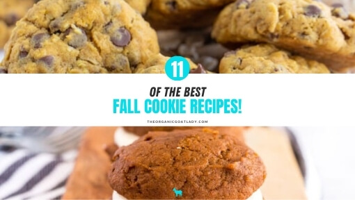 Best Fall Cookie Recipes!