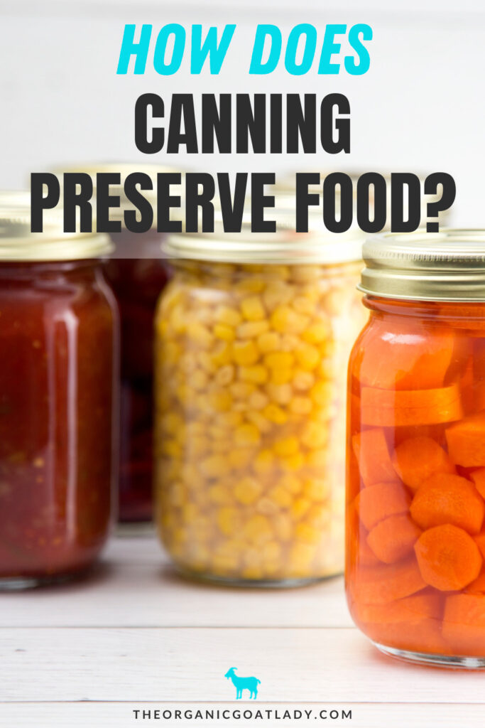 How Does Canning Preserve Food